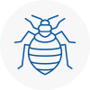 Bed Bug Extermination In Stalybridge